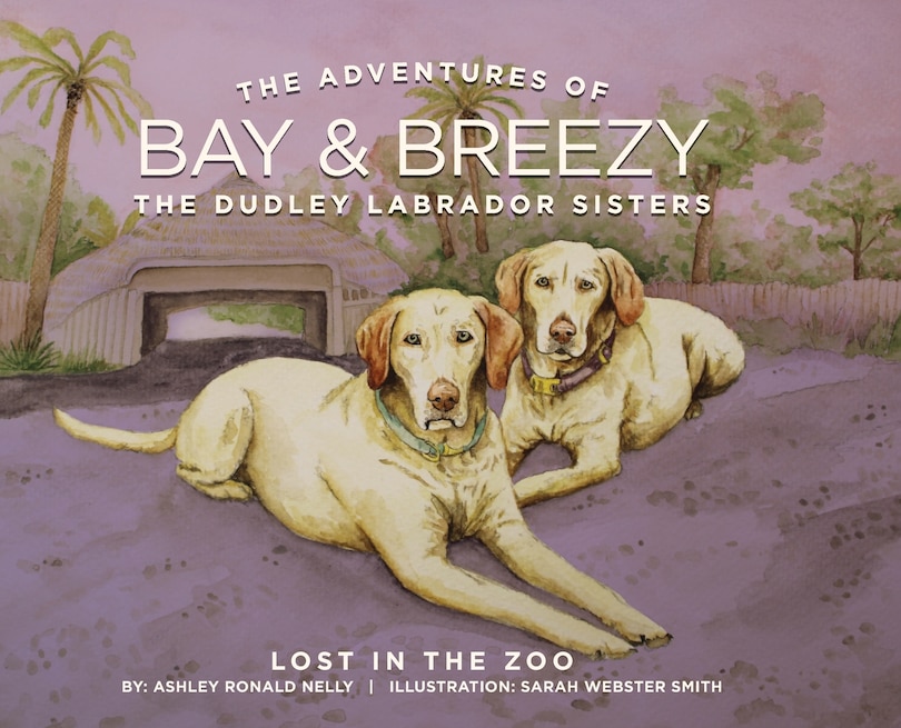 Couverture_The Adventures of Bay & Breezy