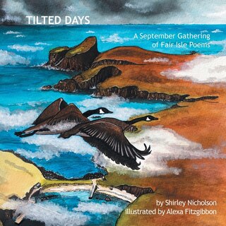 Front cover_Tilted Days