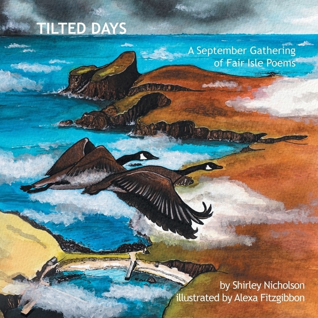 Front cover_Tilted Days