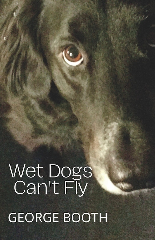 Wet Dogs Can't Fly