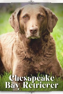 Front cover_Chesapeake Bay Retriever