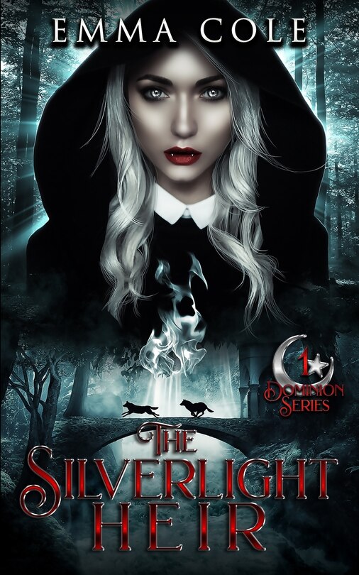 Front cover_The Silverlight Heir