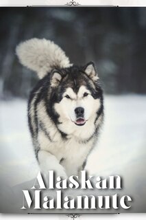 Front cover_Alaskan Malamute