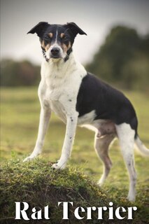 Front cover_Rat Terrier