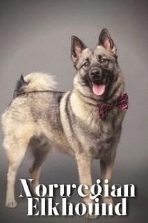 Front cover_Norwegian Elkhound