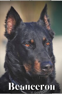 Couverture_Beauceron