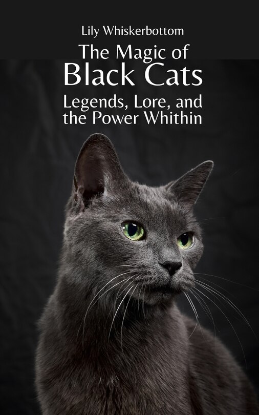 Couverture_The Magic of Black Cats