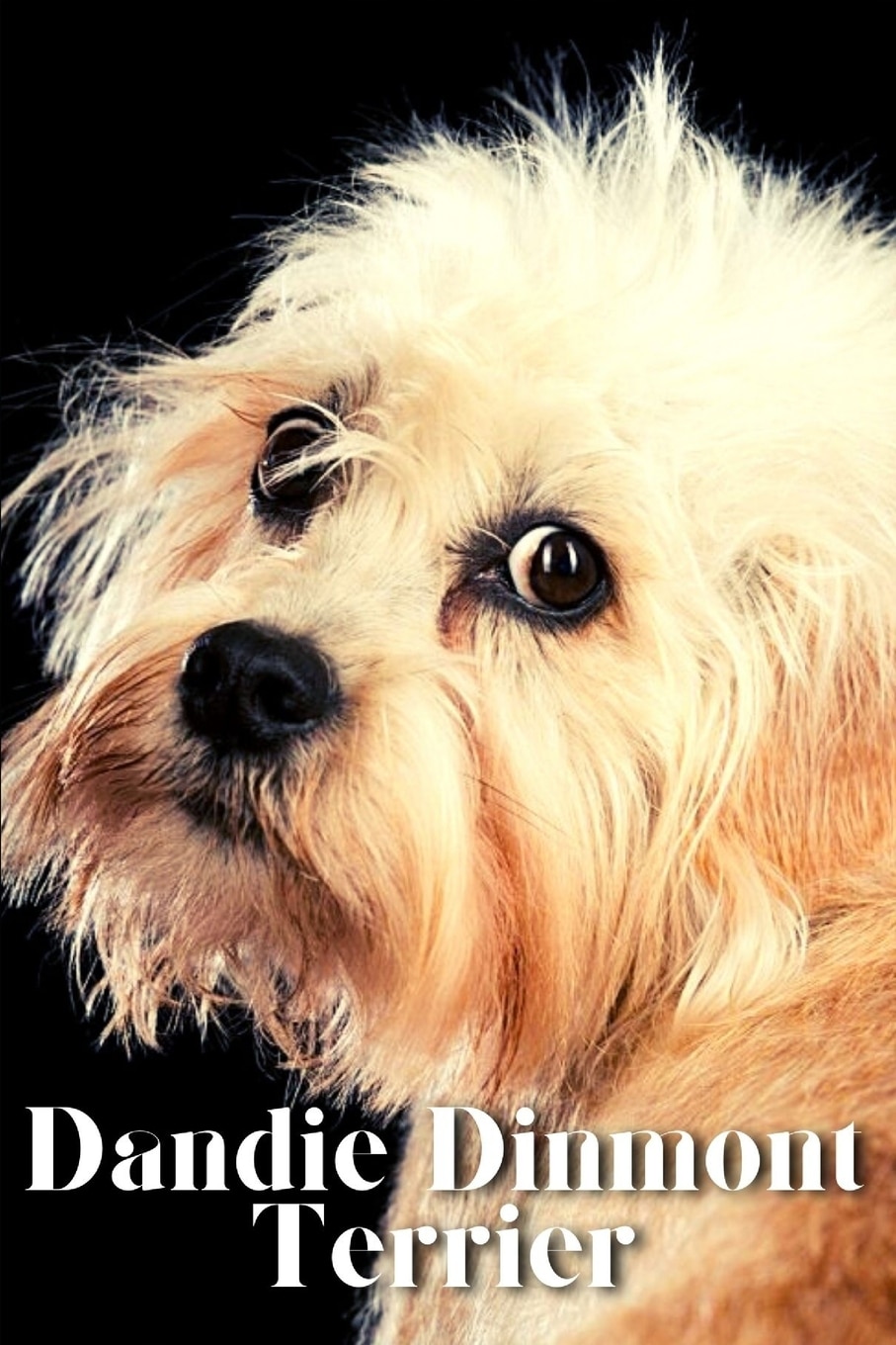 Dandie sales dinmont book