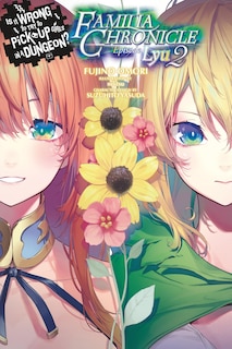 Front cover_Is It Wrong to Try to Pick Up Girls in a Dungeon? Familia Chronicle, Vol. 3 (light novel)