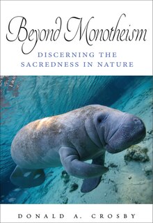 Front cover_Beyond Monotheism