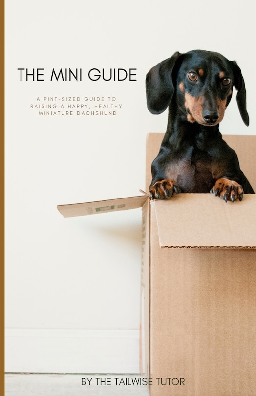 Couverture_The Mini Guide