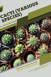 Cacti (various species): Open terrarium, Beginner's Guide