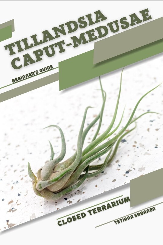 Front cover_Tillandsia caput-medusae
