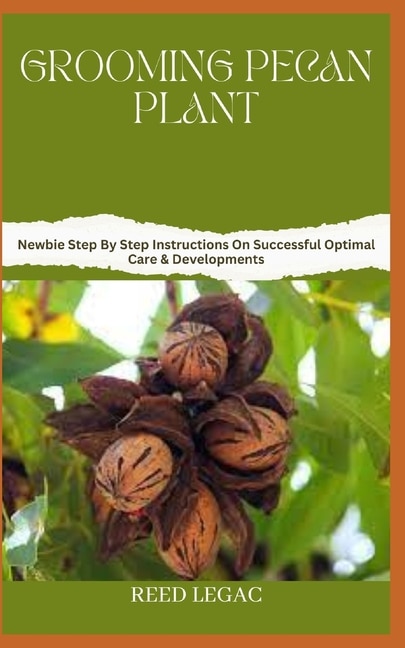 Grooming Pecan Plant: Newbie Step By Step Instructions On Successful Optimal Care & Developments