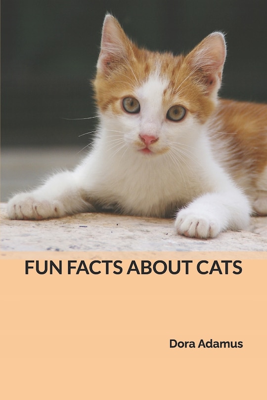 About Cats Cool Facts About Kittens Cats 101 Amazing Facts About