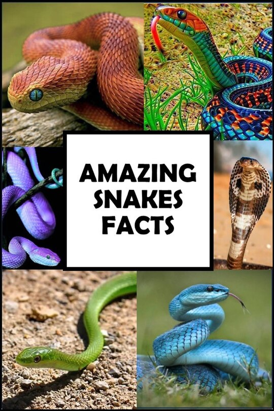 Front cover_Amazing Snakes Facts