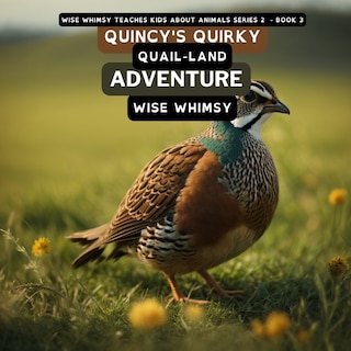 Front cover_Quincy's Quirky Quail-land Adventure
