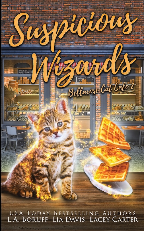 Couverture_Suspicious Wizards