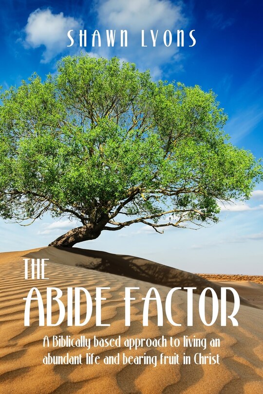 Front cover_The Abide Factor