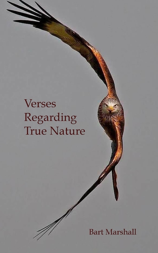 Front cover_Verses Regarding True Nature