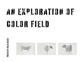 Front cover_An Exploration In Color Field