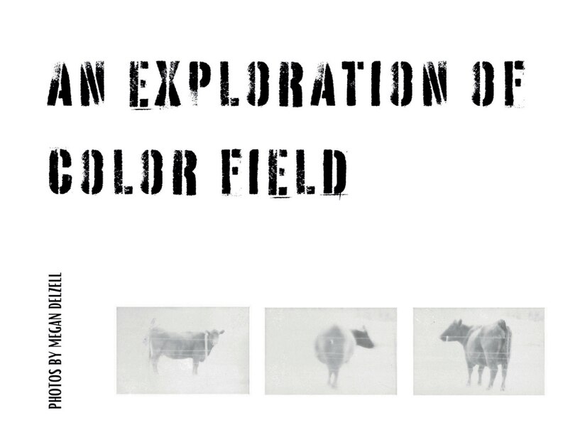 Front cover_An Exploration In Color Field