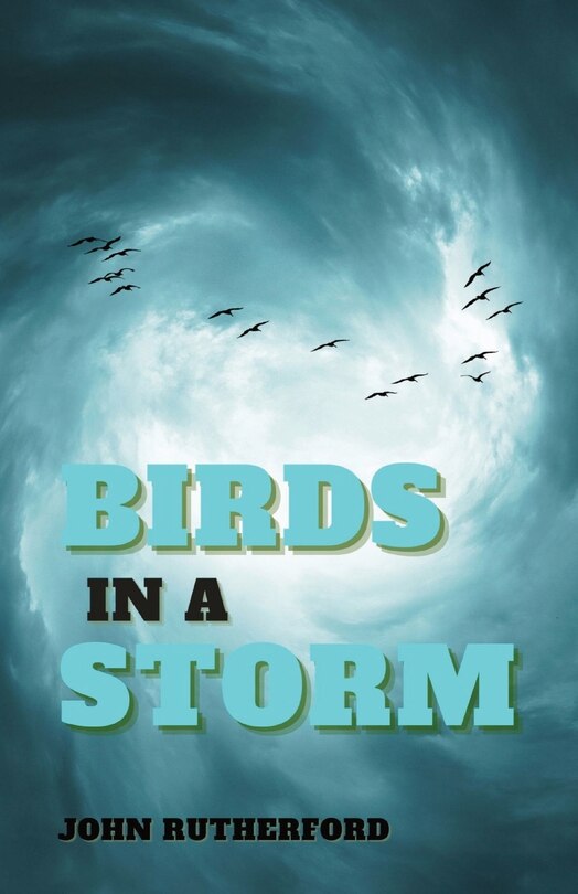Front cover_Birds in a Storm