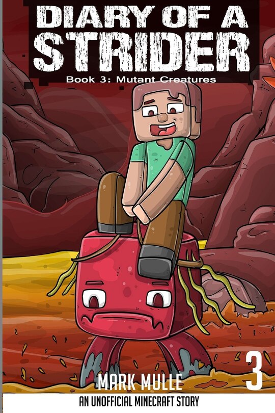 Front cover_Diary of a Strider Book 3