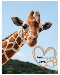 Front cover_Animal Love