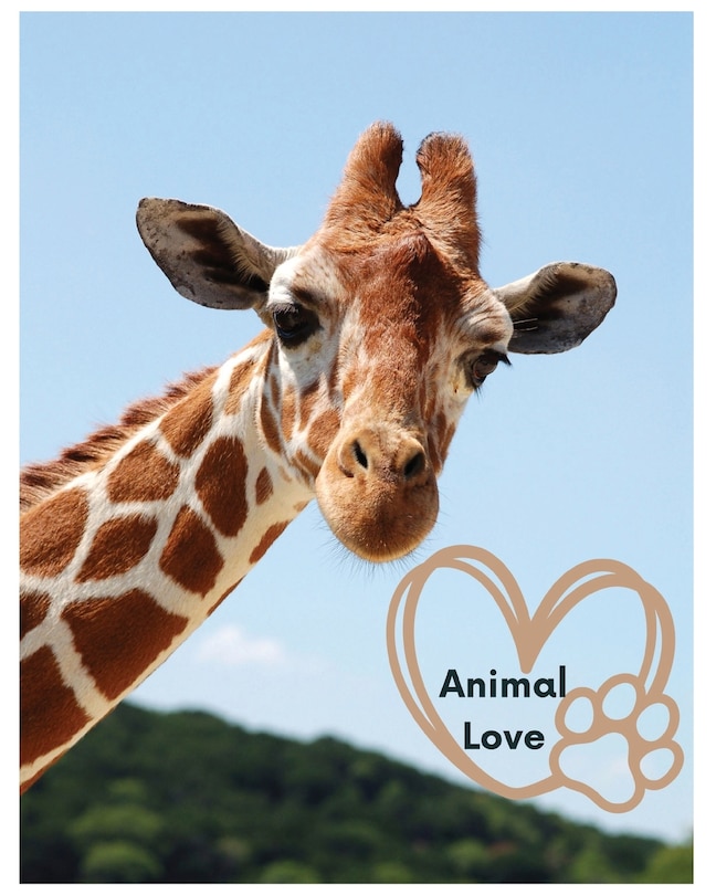 Front cover_Animal Love