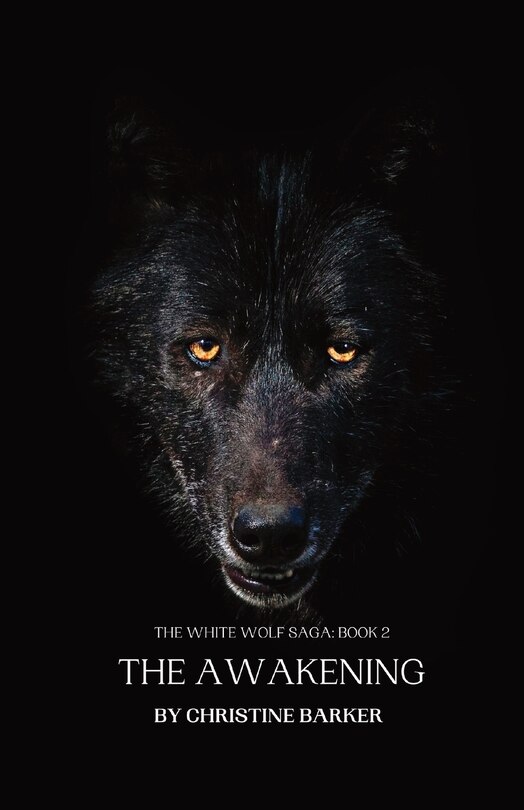 Front cover_The Awakening