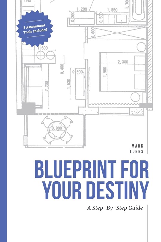 Front cover_Blueprint For Your Destiny