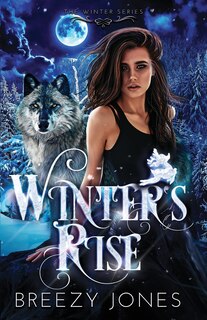 Couverture_Winters Rise