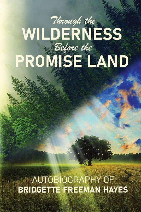 Front cover_Through the Wilderness Before the Promise Land