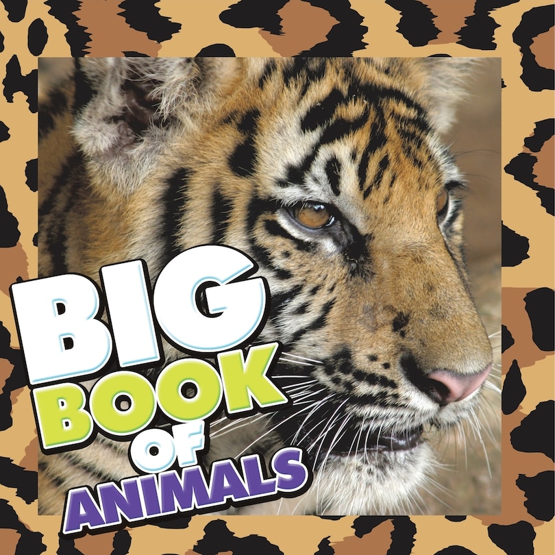 Couverture_Big Book of Animals