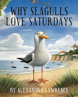 Front cover_Why Seagulls Love Saturdays