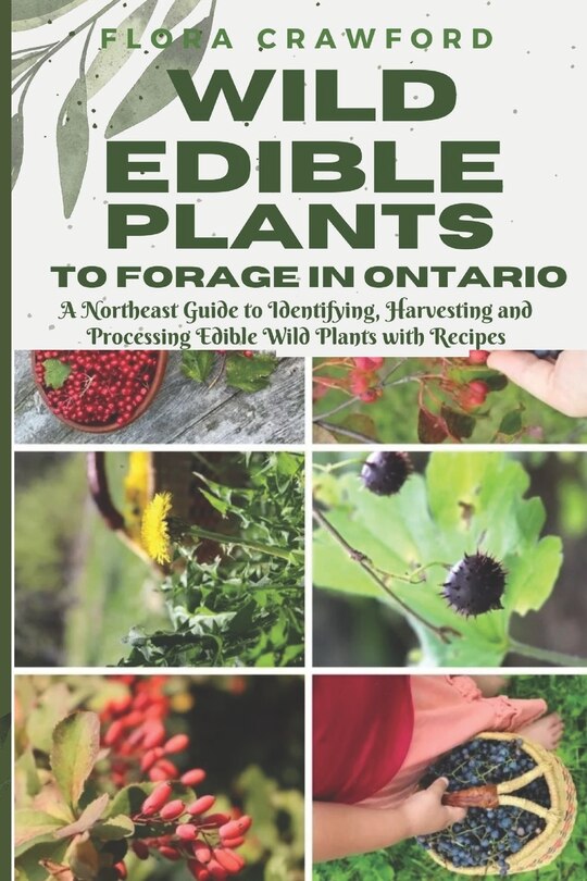 Front cover_Wild Edible Plants to Forage in Ontario