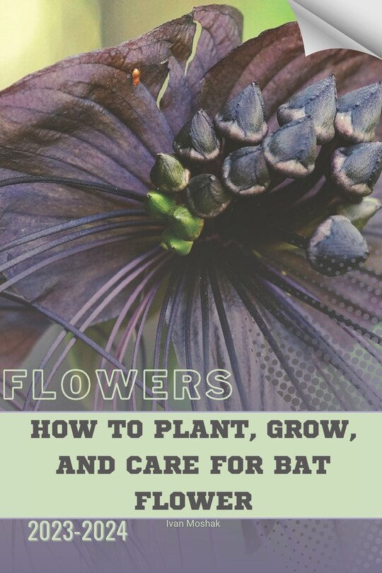 Front cover_How to Plant, Grow, and Care for Bat Flower