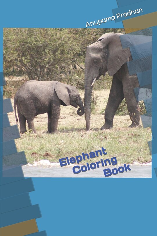 Elephant Coloring Book Book By Anupama Pradhan, ('tp') Indigo