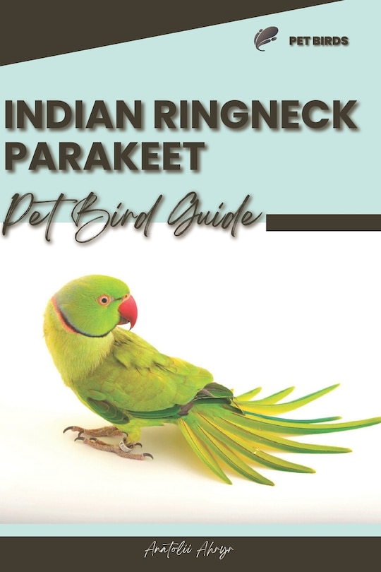 Indian Ringneck Parakeet: Pet bird guide