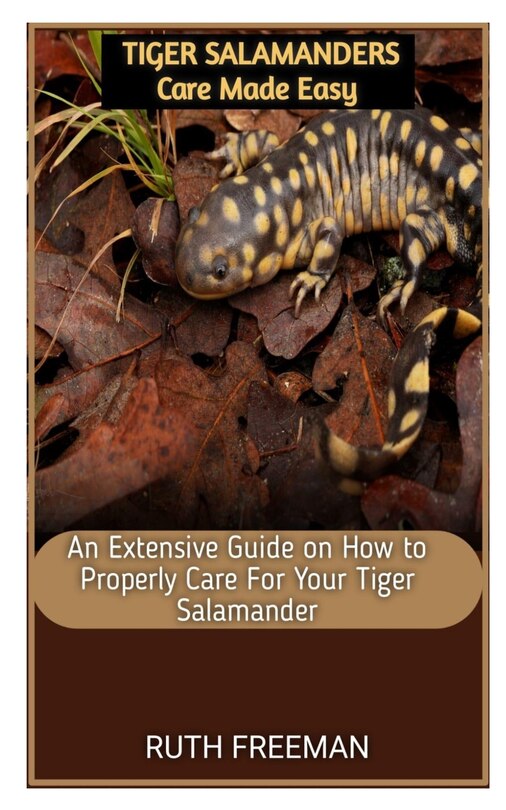 Tiger Salamanders Care Made Easy: An Extensive Guide on How to Properly Care For Your Tiger Salamander