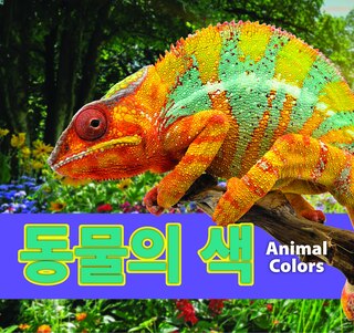 Couverture_동물의 색/Animal Colors (Korean)