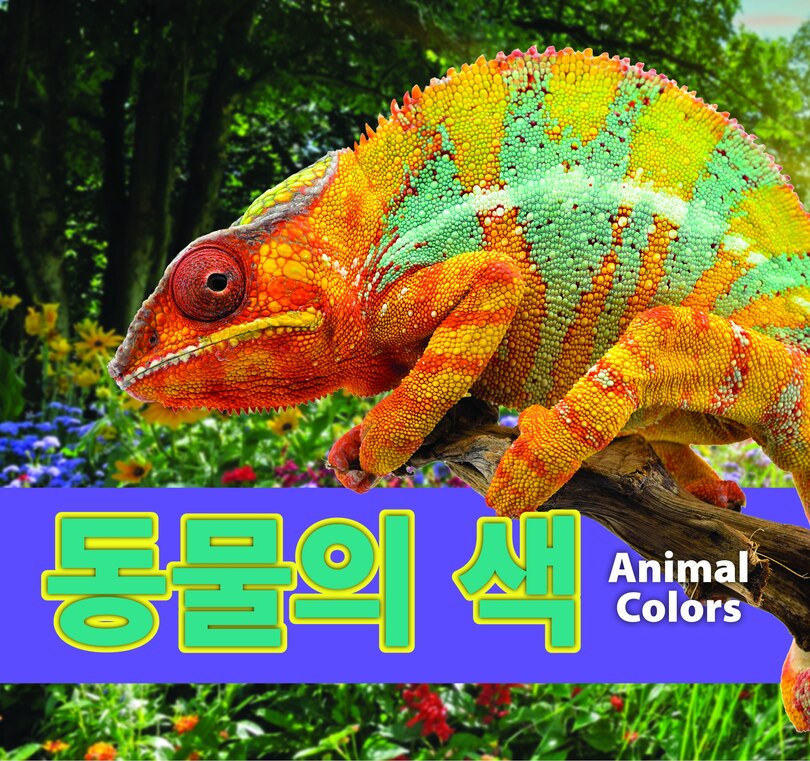 Couverture_동물의 색/Animal Colors (Korean)