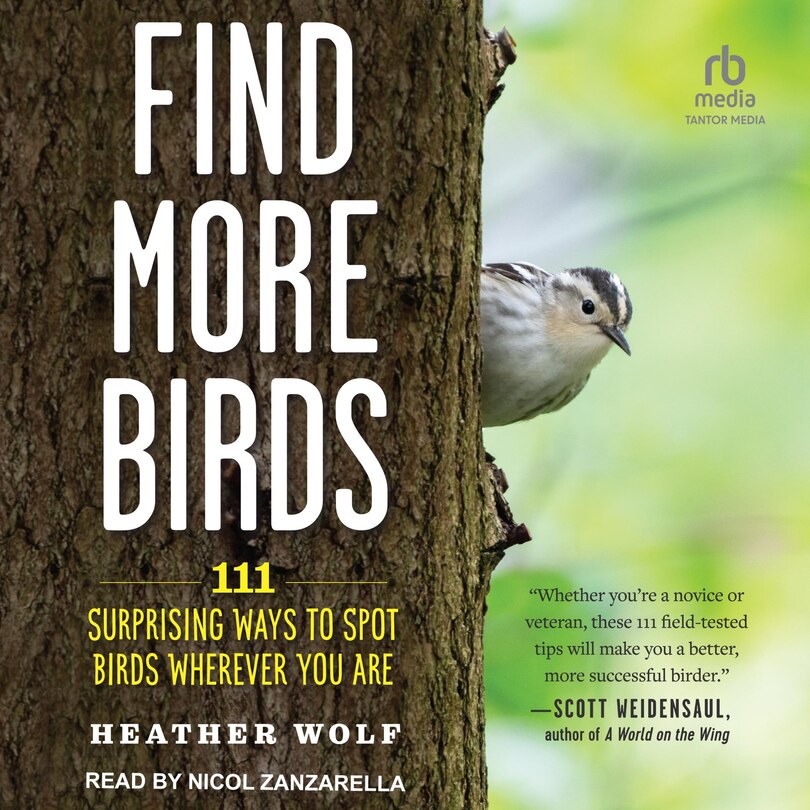 Front cover_Find More Birds