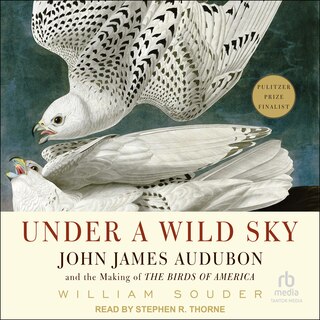 Couverture_Under a Wild Sky