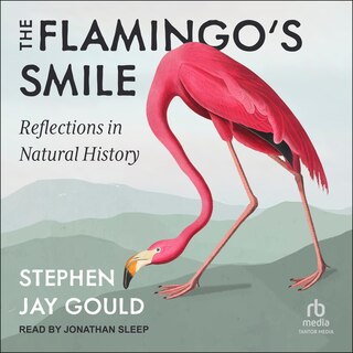 Front cover_The Flamingo's Smile