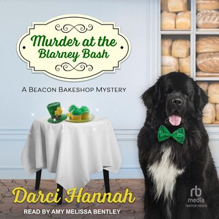 Front cover_Murder at the Blarney Bash