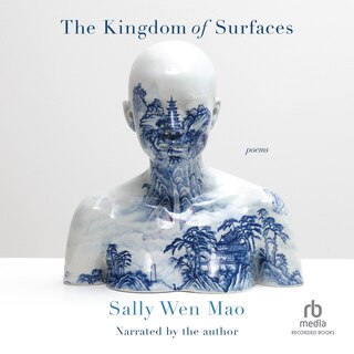 Couverture_The Kingdom of Surfaces