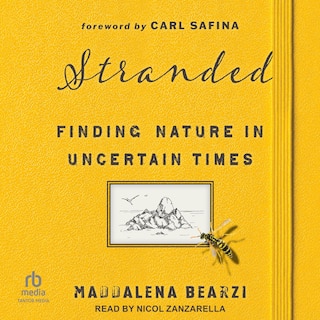 Couverture_Stranded