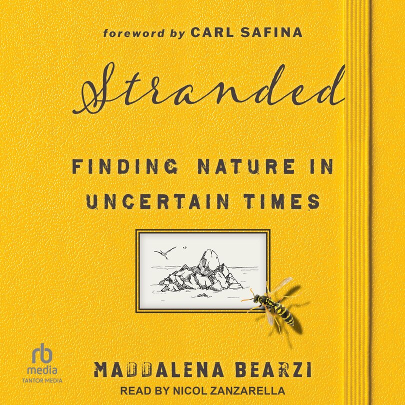 Couverture_Stranded